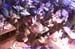 101_WITR_HR_04_285