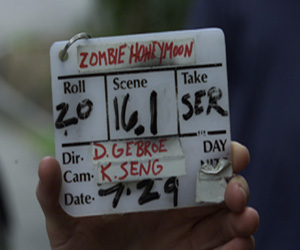 Zombie Honeymoon